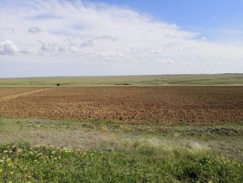 Scenic view of agricultural field against sky