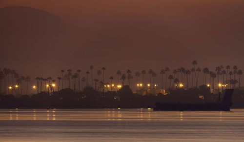 Illuminated trees by sea against sky at night