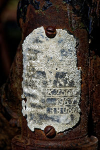 Close-up of rusty metal on tree trunk