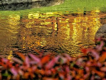 Full frame shot of abstract background