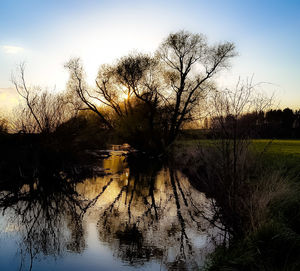 Silhouette trees by lake against sky during sunset