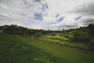 Scenic view of field against sky