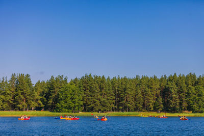 Scenic view of boats sailing in forest against clear blue sky