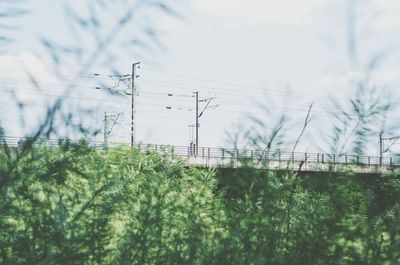 Trees and electricity pylon against sky