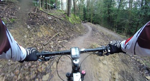 Cropped image of bicycle on road