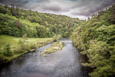 River amidst trees in forest against sky