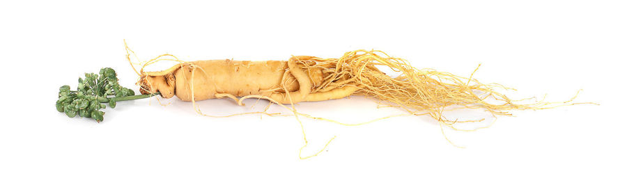 High angle view of bread against white background