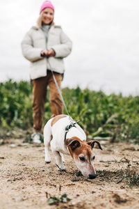 Full length of woman holding leash of dog at farm