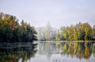 Scenic view of lake by trees against sky