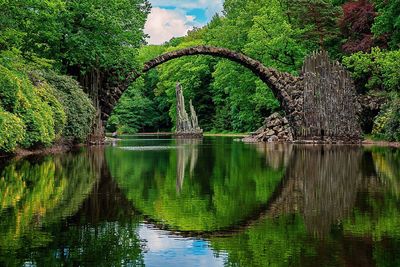 Reflection of trees in lake