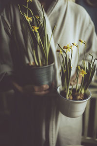 Close-up of potted plant