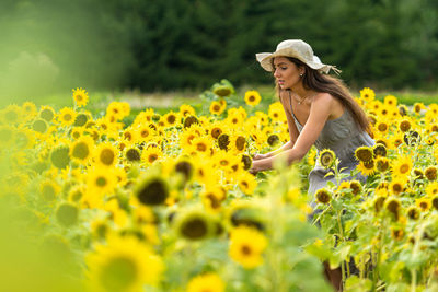 Beautiful young woman in straw hat and linean country style dress walks through a field of sunflower