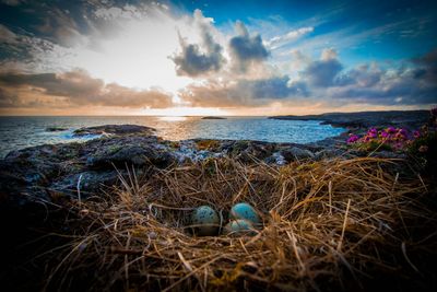 Scenic view of sea against cloudy sky