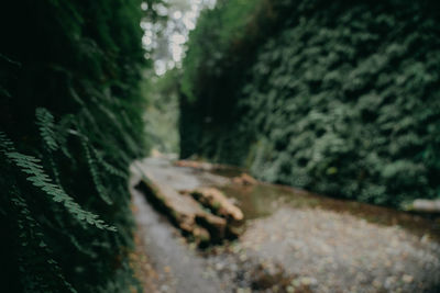 Close-up of road by wall