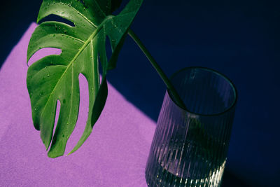Close-up of water in glass on table