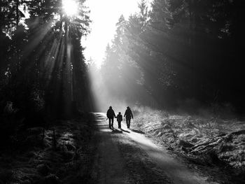 Rear view of people walking on footpath at public park