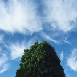 Low angle view of trees against blue sky