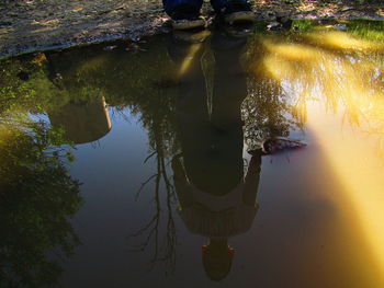 Close-up of reflection in water