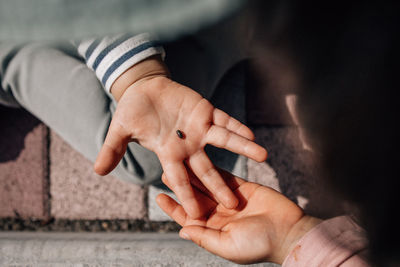 Children showing rolypoly on her palm 