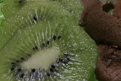 Full frame shot of kiwis
