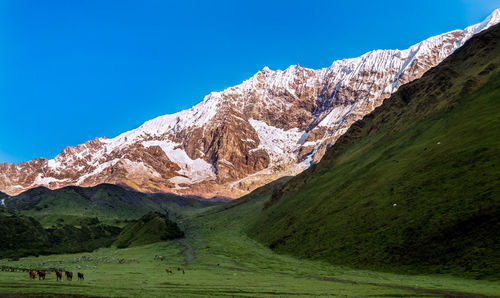 Scenic view of snowcapped mountains against clear blue sky