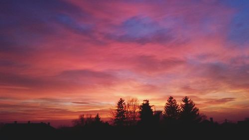 Silhouette trees against sky during sunset