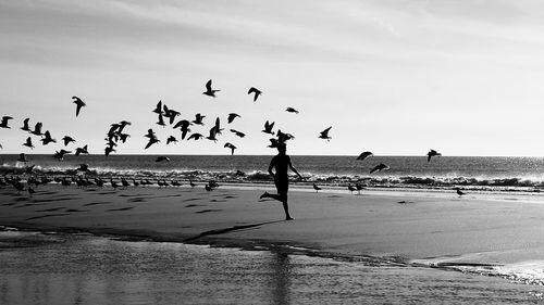 Birds flying over beach against sky