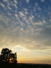 Low angle view of silhouette trees against sky during sunset