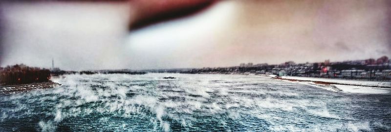 Close-up of plant in background