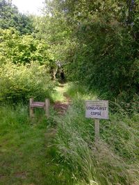 Information sign on grassy field