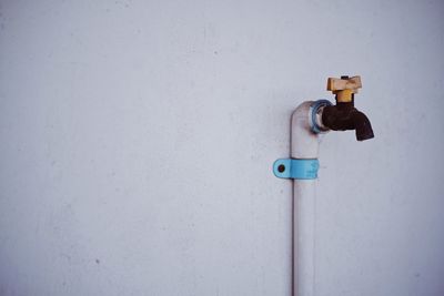 Close-up of electric light bulb on wall