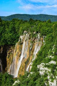 Scenic view of waterfall in forest