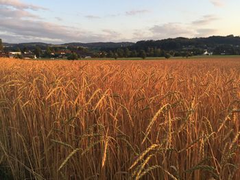 Scenic view of field against cloudy sky