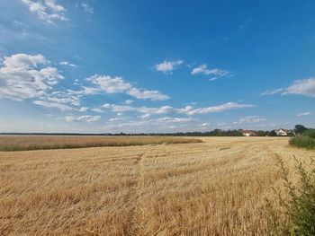 Scenic view of agricultural field against sky