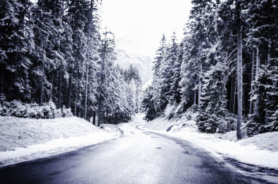 Snow covered road passing through forest