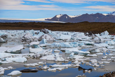 Ice floes floating in sea during winter