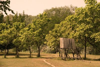 Trees on field against sky