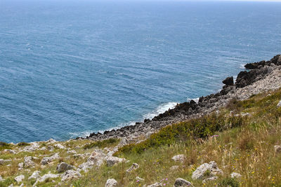 High angle view of rocks on beach