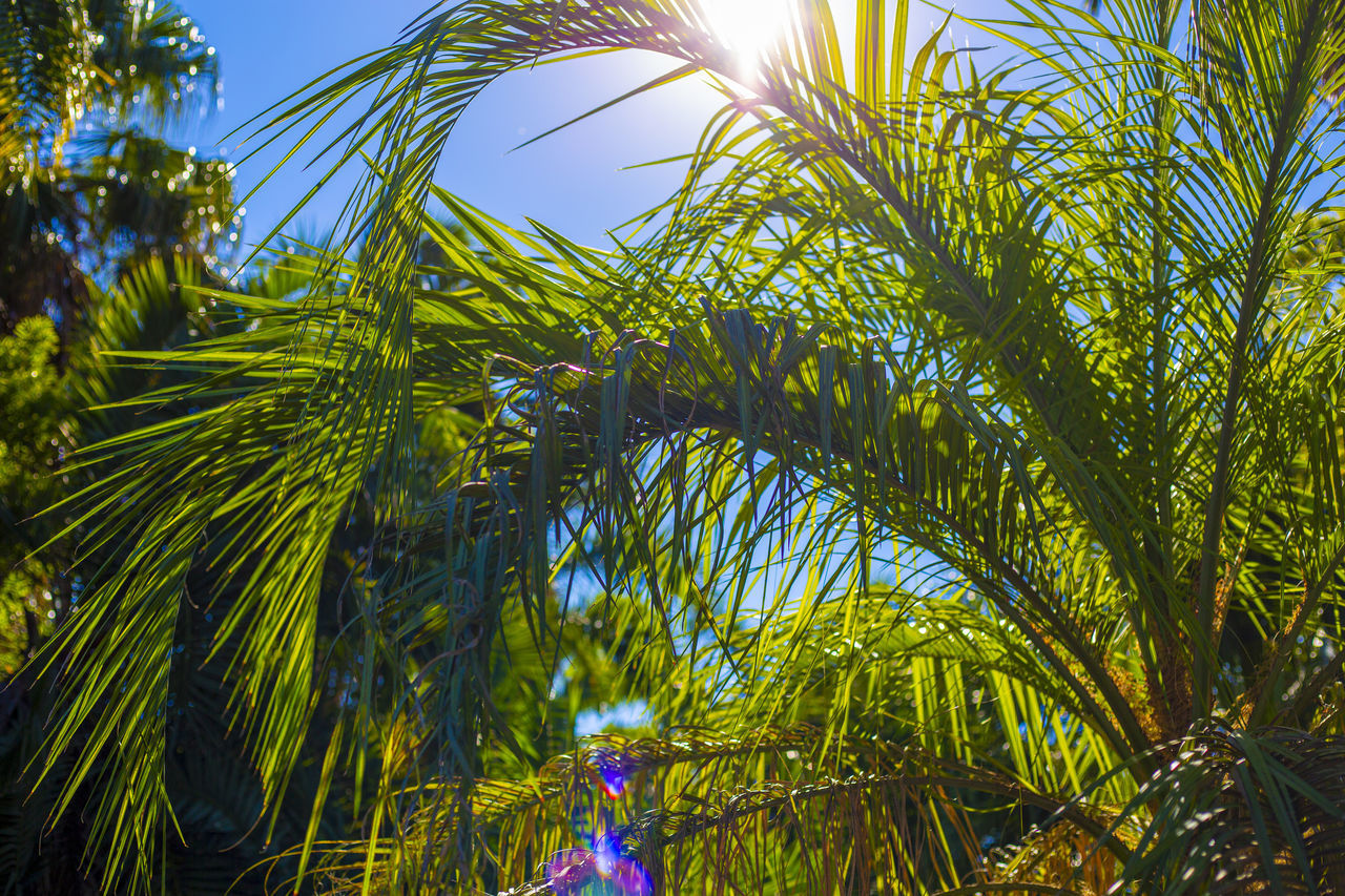 Laurence Photographer