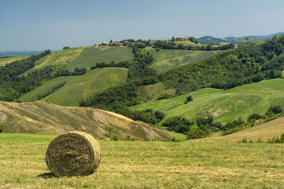 Scenic view of agricultural field against sky