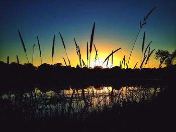 Silhouette plants by lake against sky at sunset