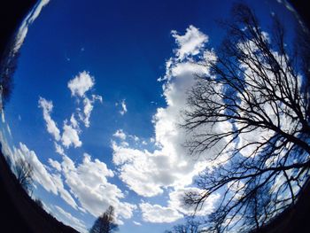 Low angle view of bare trees against blue sky