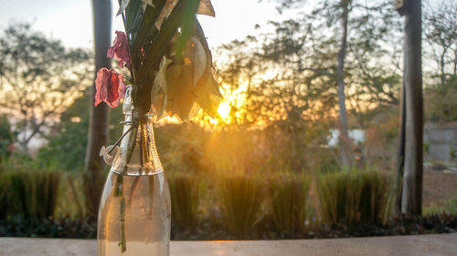 Close-up of wine bottles on glass against sunset