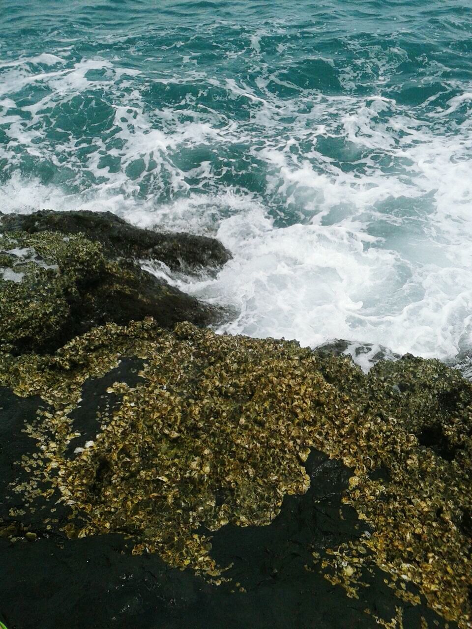 water, sea, surf, wave, high angle view, beauty in nature, nature, scenics, shore, beach, rock - object, motion, tranquility, tranquil scene, outdoors, no people, day, coastline, idyllic, horizon over water