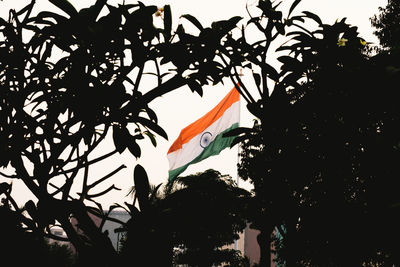 Low angle view of trees against sky