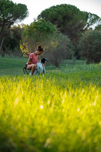 Horses on grassy field