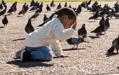 Full length of boy kneeling on street amid pigeons