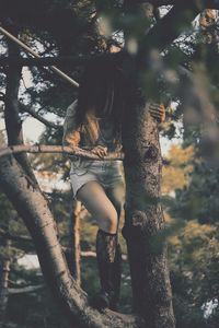 Woman standing on tree trunk