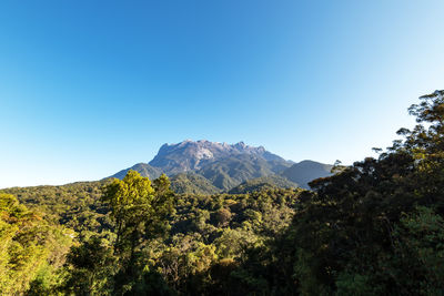 Scenic view of mountains against clear blue sky