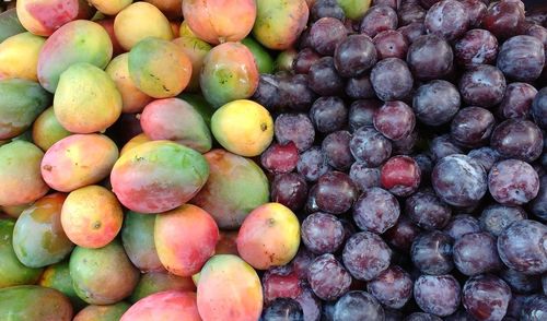 Close-up of fruits for sale in market